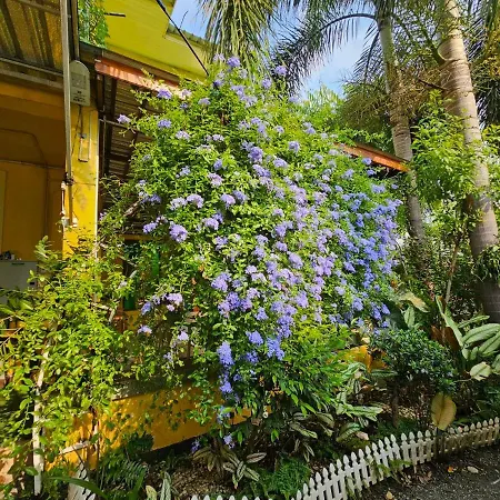 Suantung Coffee & Guesthouse-3